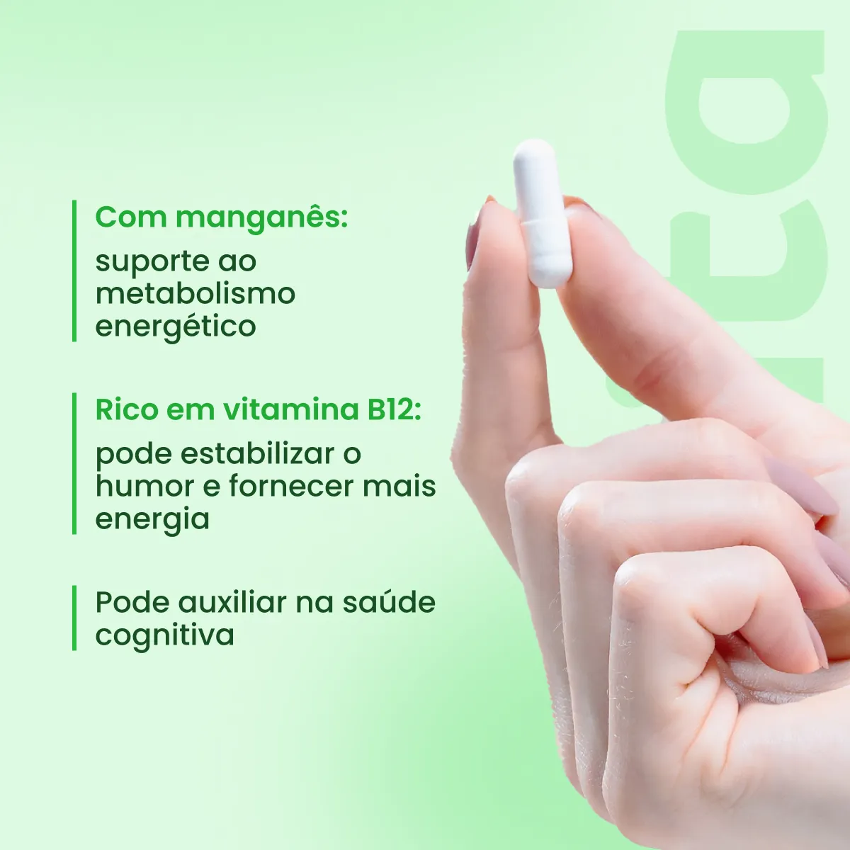 Complexo B 60 cápsulas - Image 3